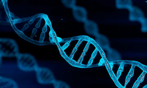 Dwie rewolucje: AI + badania DNA