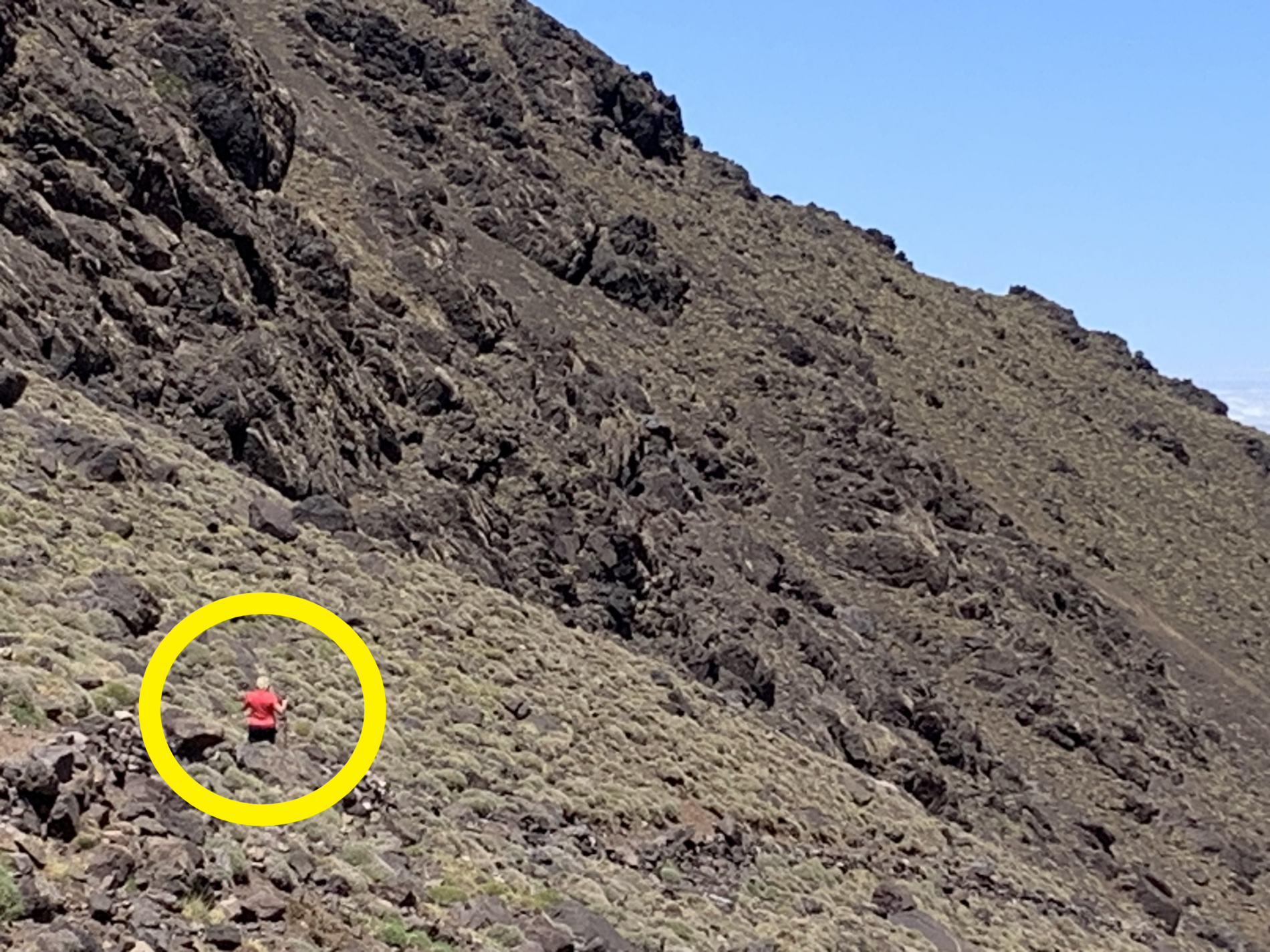 To jest Pani Maria…