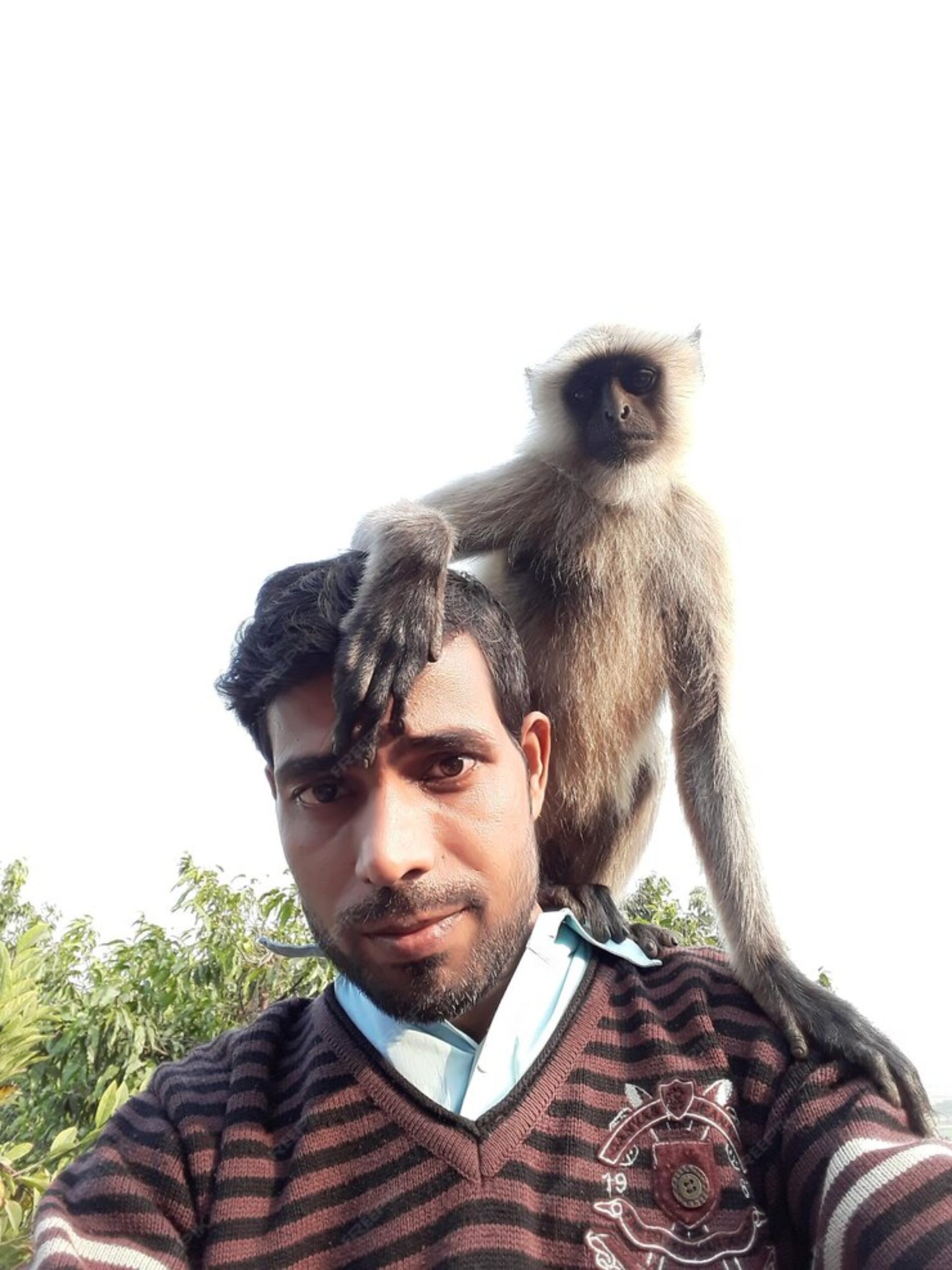 Przywództwo, rozdział nr 2671 „Zrzuć małpę”