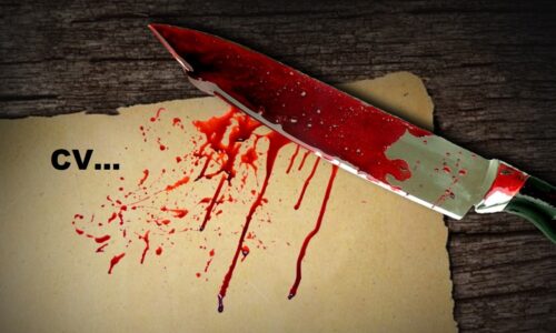 Słowa kluczowe w CV: ktokolwiek widział, ktokolwiek wie?