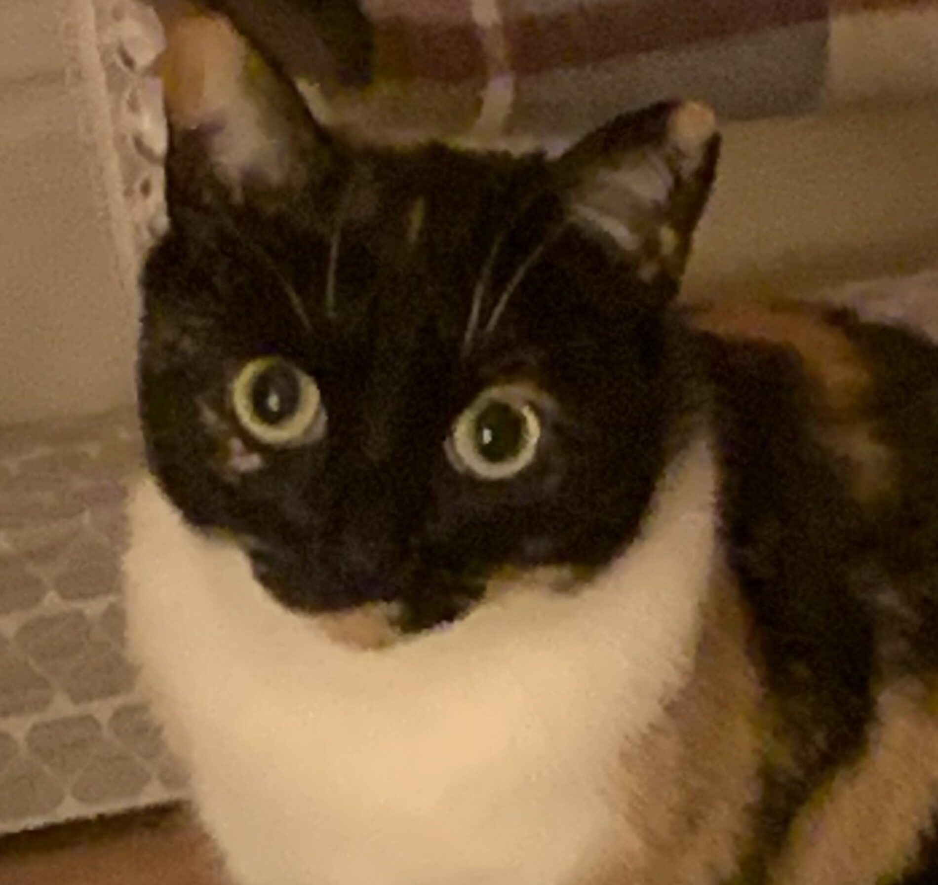 Bardzo mądre „Głupie pytanie rekrutacyjne” nr 2