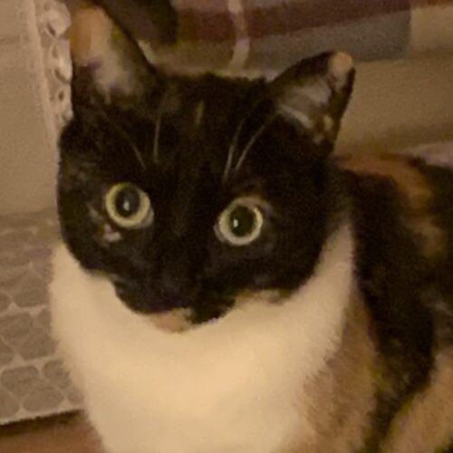 Bardzo mądre „Głupie pytanie rekrutacyjne” nr 2