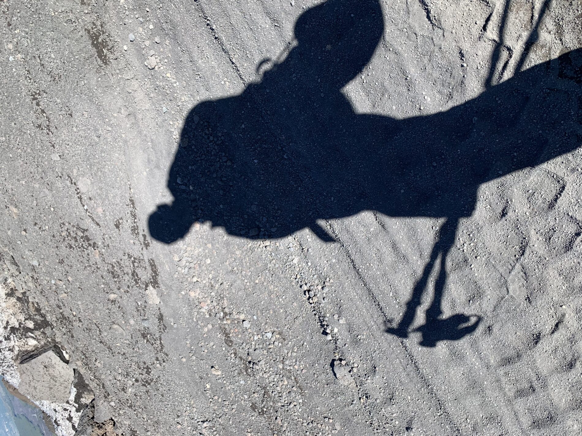 Lider przyszłości: 5 charakterystyk