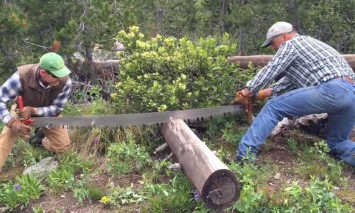 Rozmawiasz, czy grasz w dwa monologi (TKJ?)