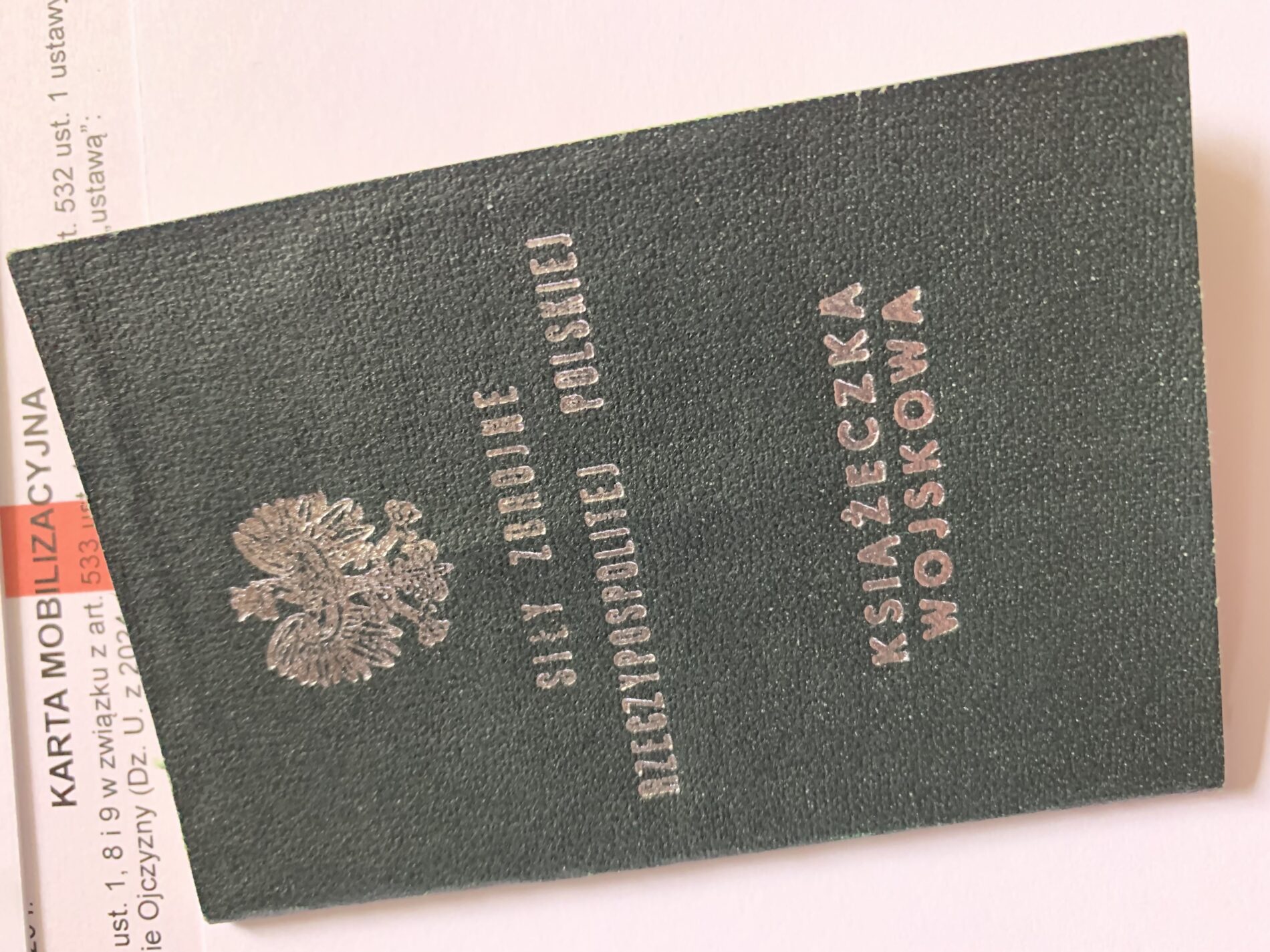 Co „Uliczni patrioci” robią dla kraju?