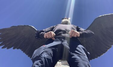 Fotki Linkedina, koniec historii, głupiej się nie da
